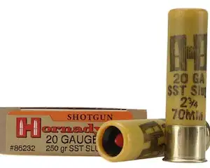 20 gauge ammo PICTURE